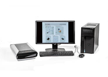 相關(guān)檢測儀器